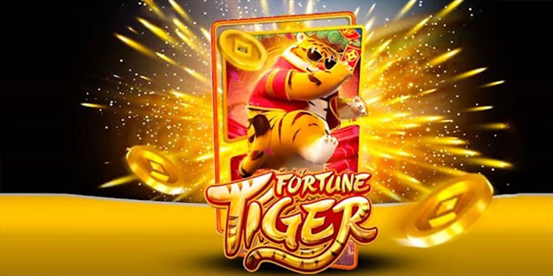 Quem é o Fortune Tiger 54betbet.Com